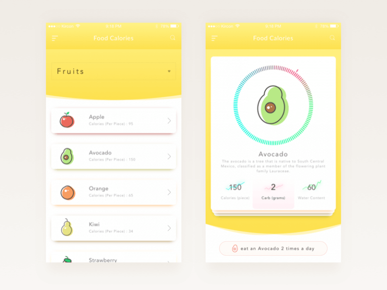 Food Calories App Design Sketch