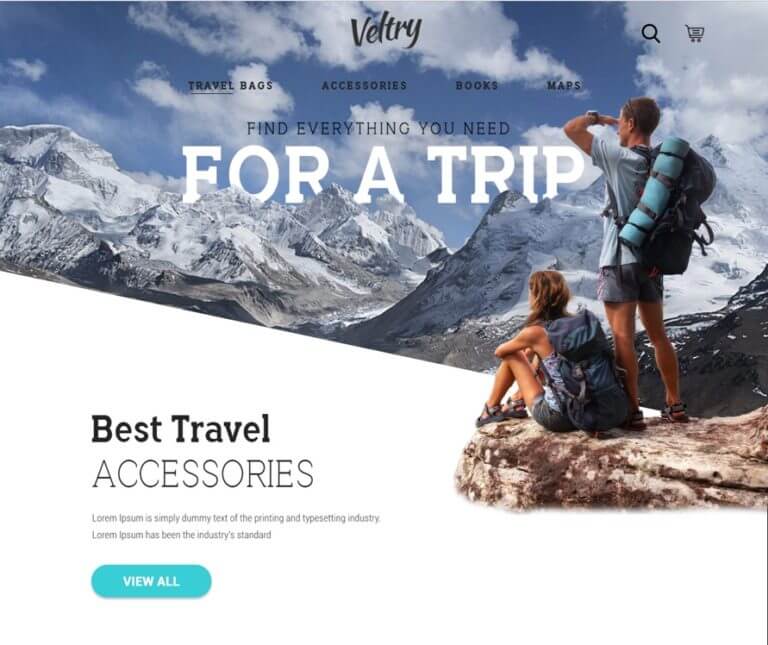 Travel Accessories Website PSD