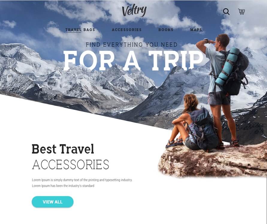 Travel Accessories Website [PSD]